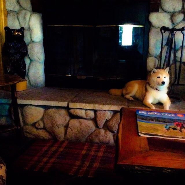 传奇骑手列车表演，骑术展示精彩纷呈，骑士骑车视频