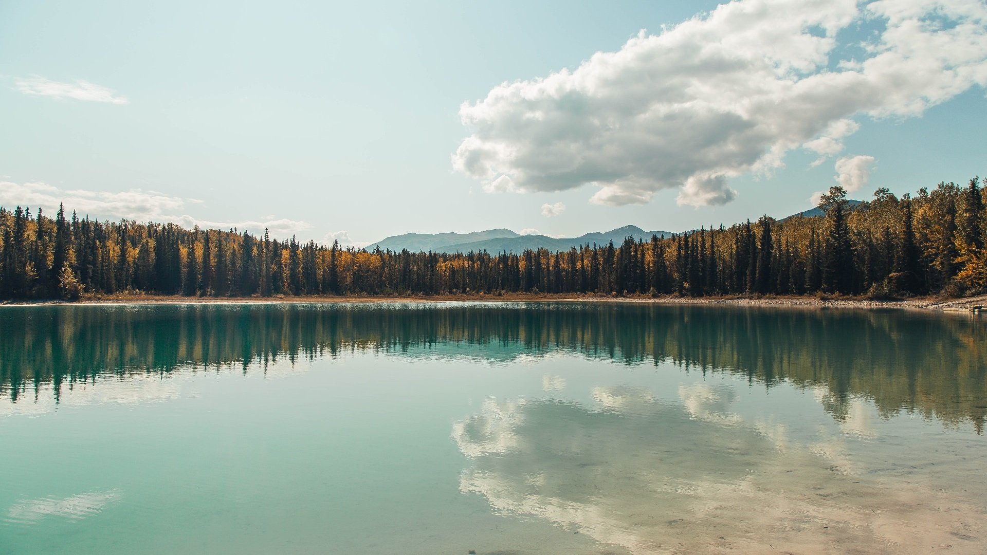 勇士发布“篮球哲学”系列书籍，深入浅出解读战术，篮球哲理