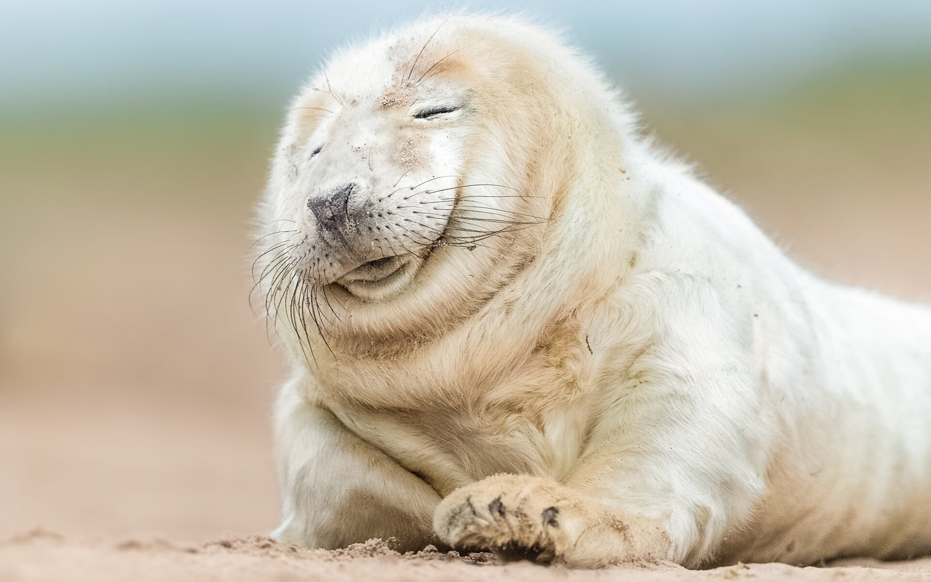 “英超超级对决:豪门激战,争夺榜首宝座”,英超经典对决