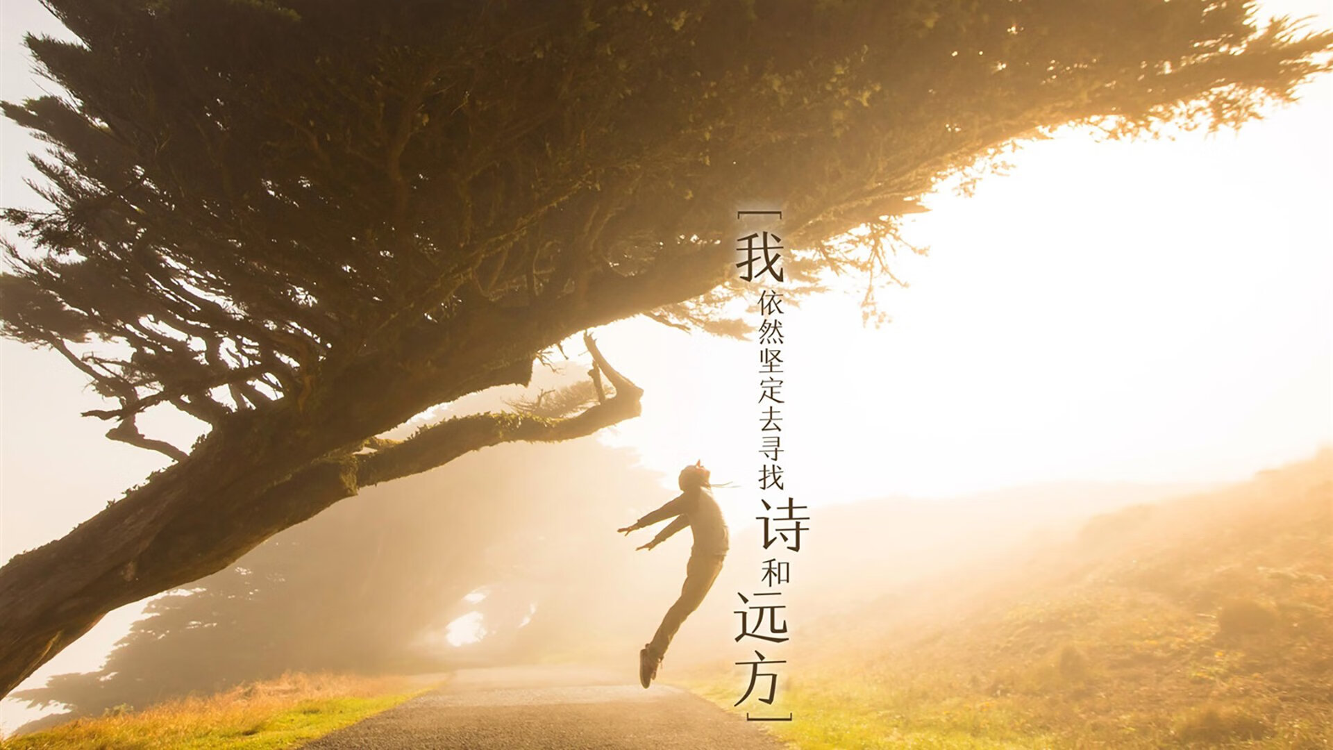 九游(jiuyou)官方网站-“足球+文化+科技”新模式带动行业跨界融合，行业未来可期，和足球相关的产业