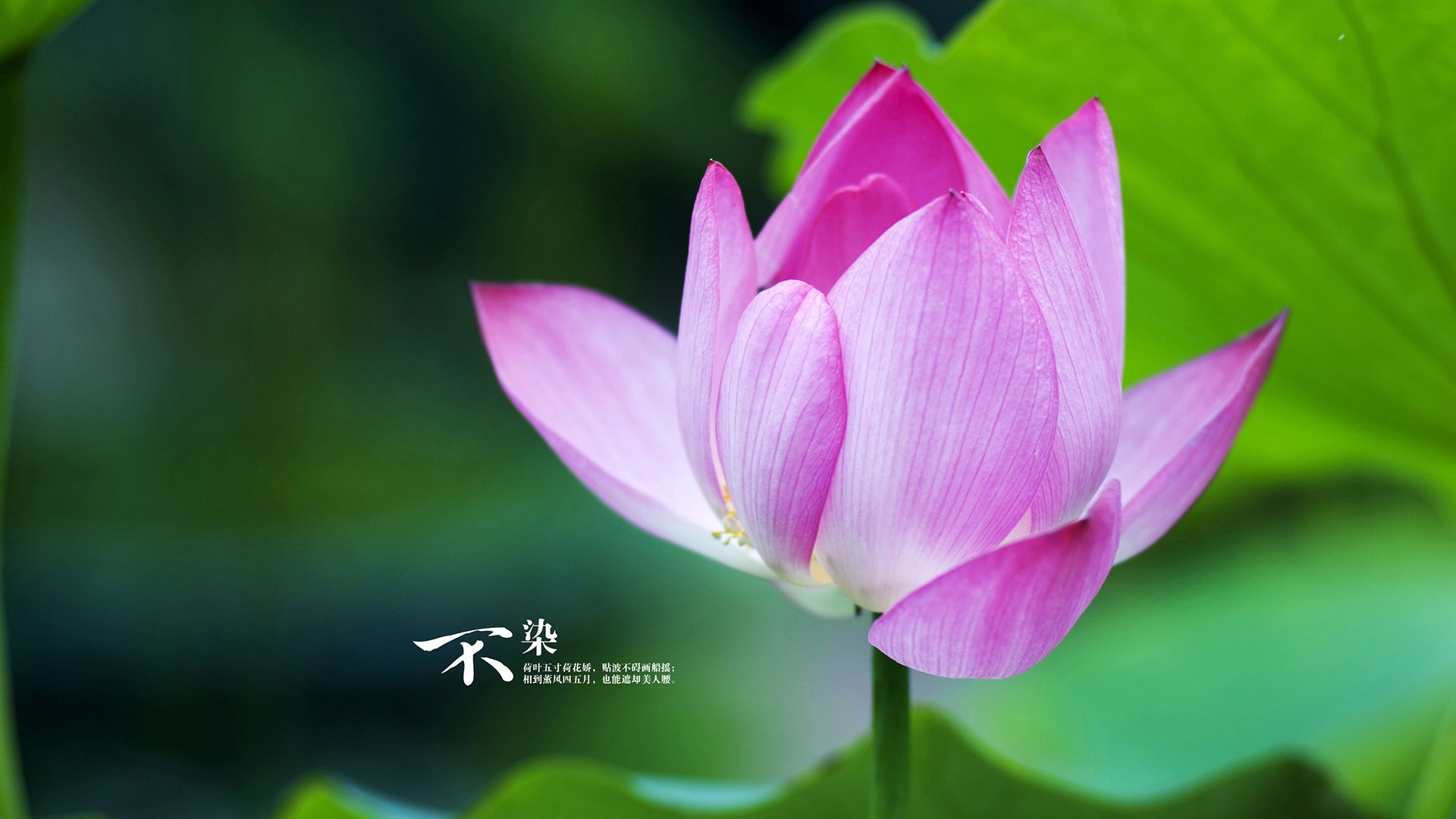 【数据驱动战术】大数据分析让教练更懂比赛节奏，大数据驱动的实例